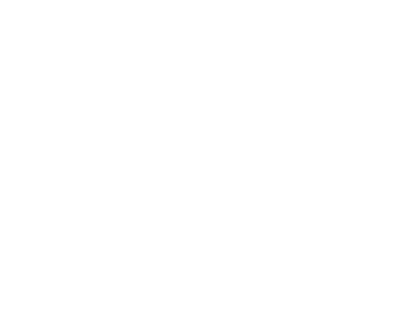 Pitypang Művek
